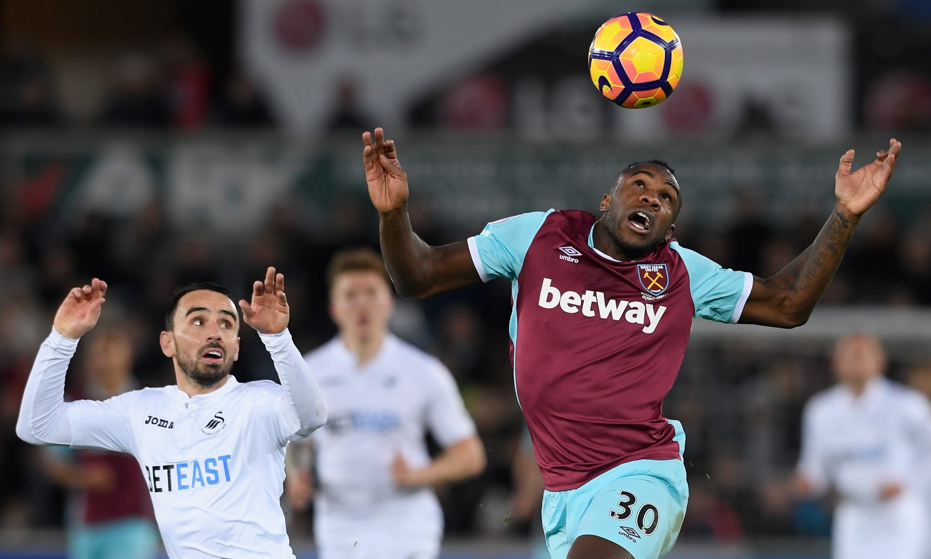 人类共情与 人类共情与