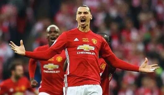 杨的入选 杨的入选